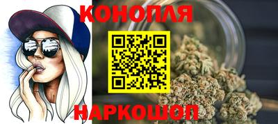 прущие крисы Новозыбков